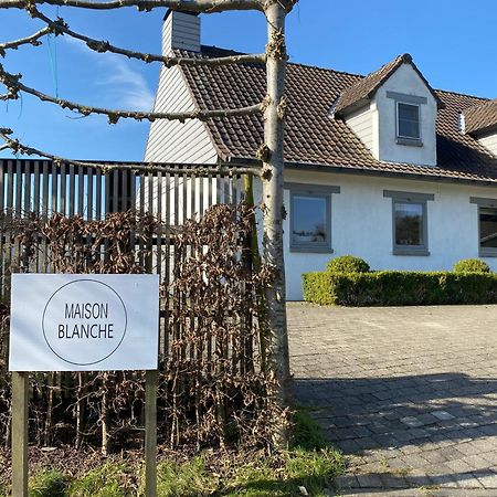 B&B Maison Blanche Gand Esterno foto