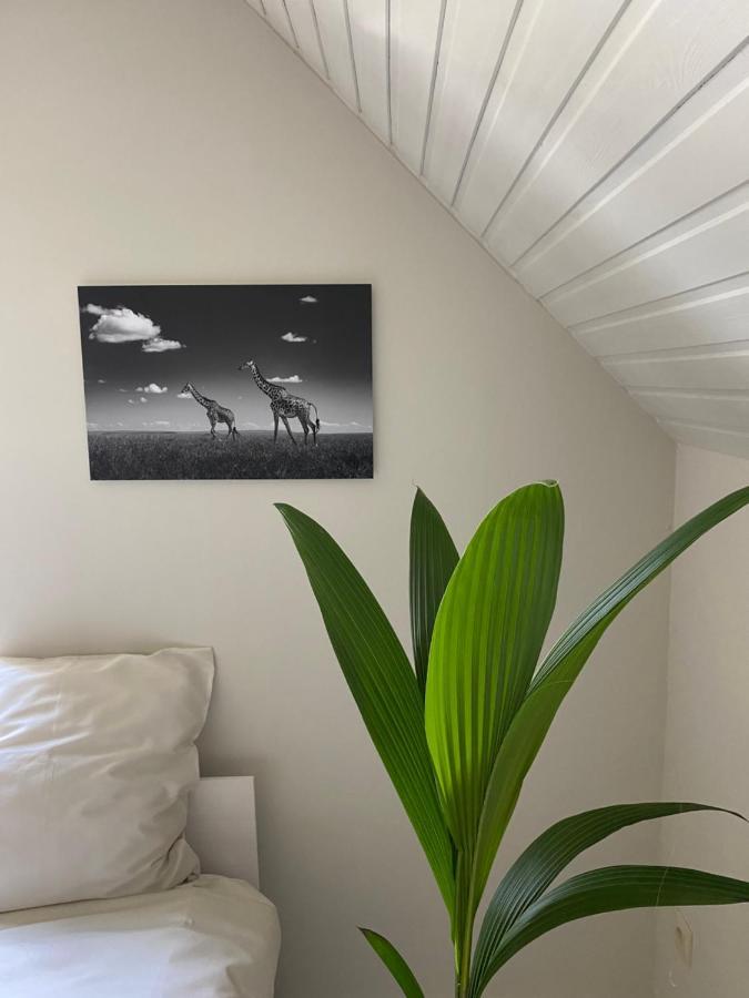B&B Maison Blanche Gand Esterno foto